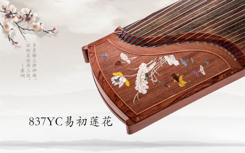 神声古筝837YC易初莲花与728YC易初莲花对比